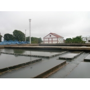 Visita a Aguas de Corrientes - 5to. Grado del Nivel Primario